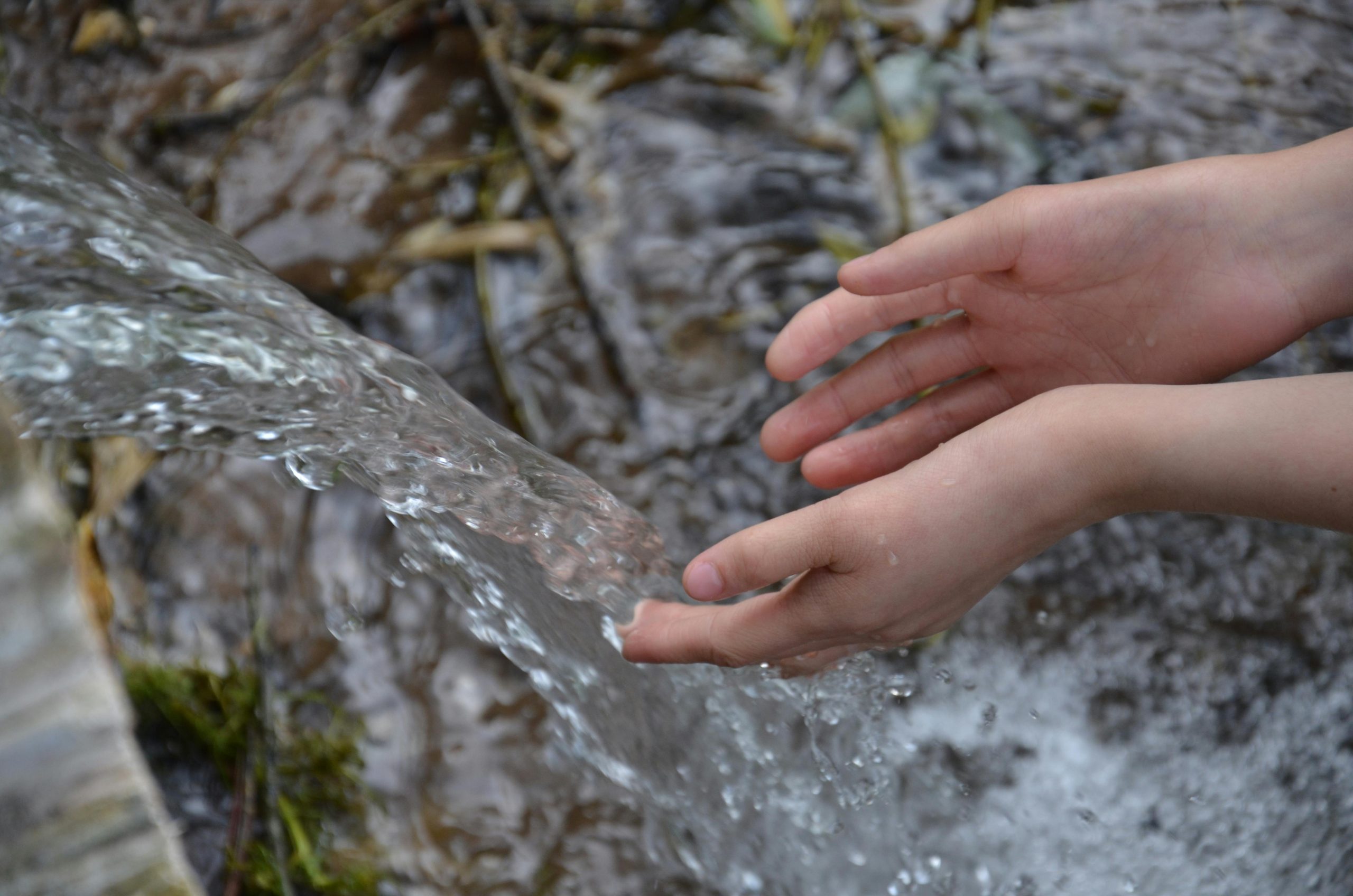 Cómo la calidad del agua influye en el bienestar diario